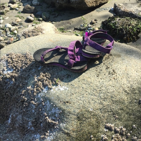 Meet your Posher, Darcy - Picture 3 of 4